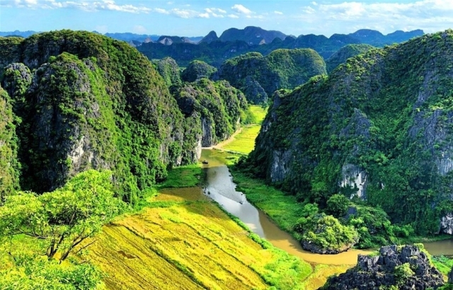 Tam Coc in Ninh Binh province in Golden rice season